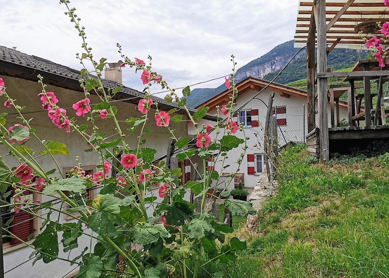 Voldersberghof Appartement Cortaccia Buitenkant foto
