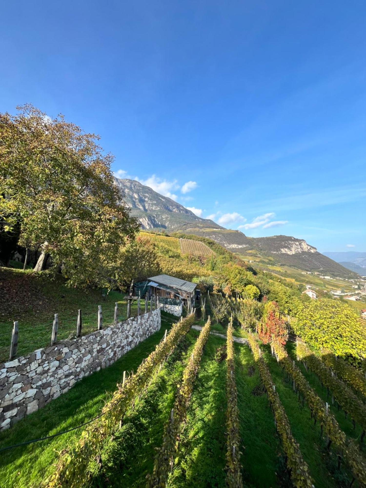 Voldersberghof Appartement Cortaccia Buitenkant foto