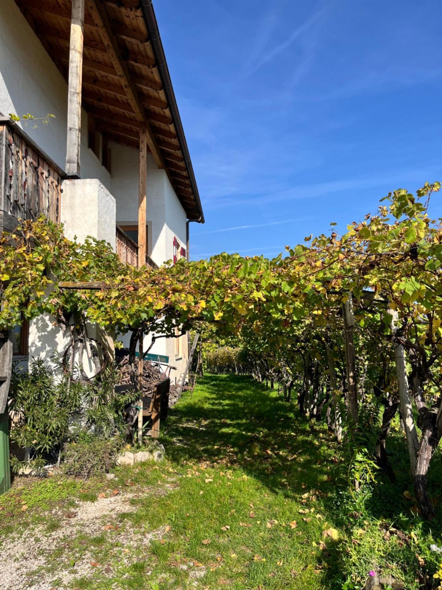 Voldersberghof Appartement Cortaccia Buitenkant foto